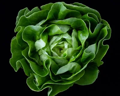 Microgreens Collection
